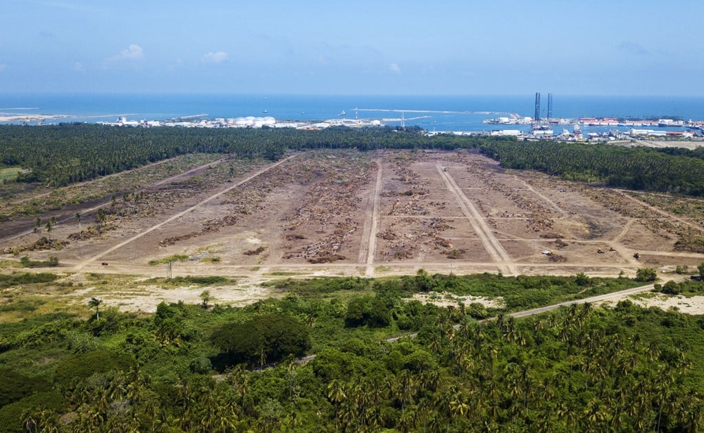 Dos Bocas oil refinery: devastated mangrove and wildlife at risk 
