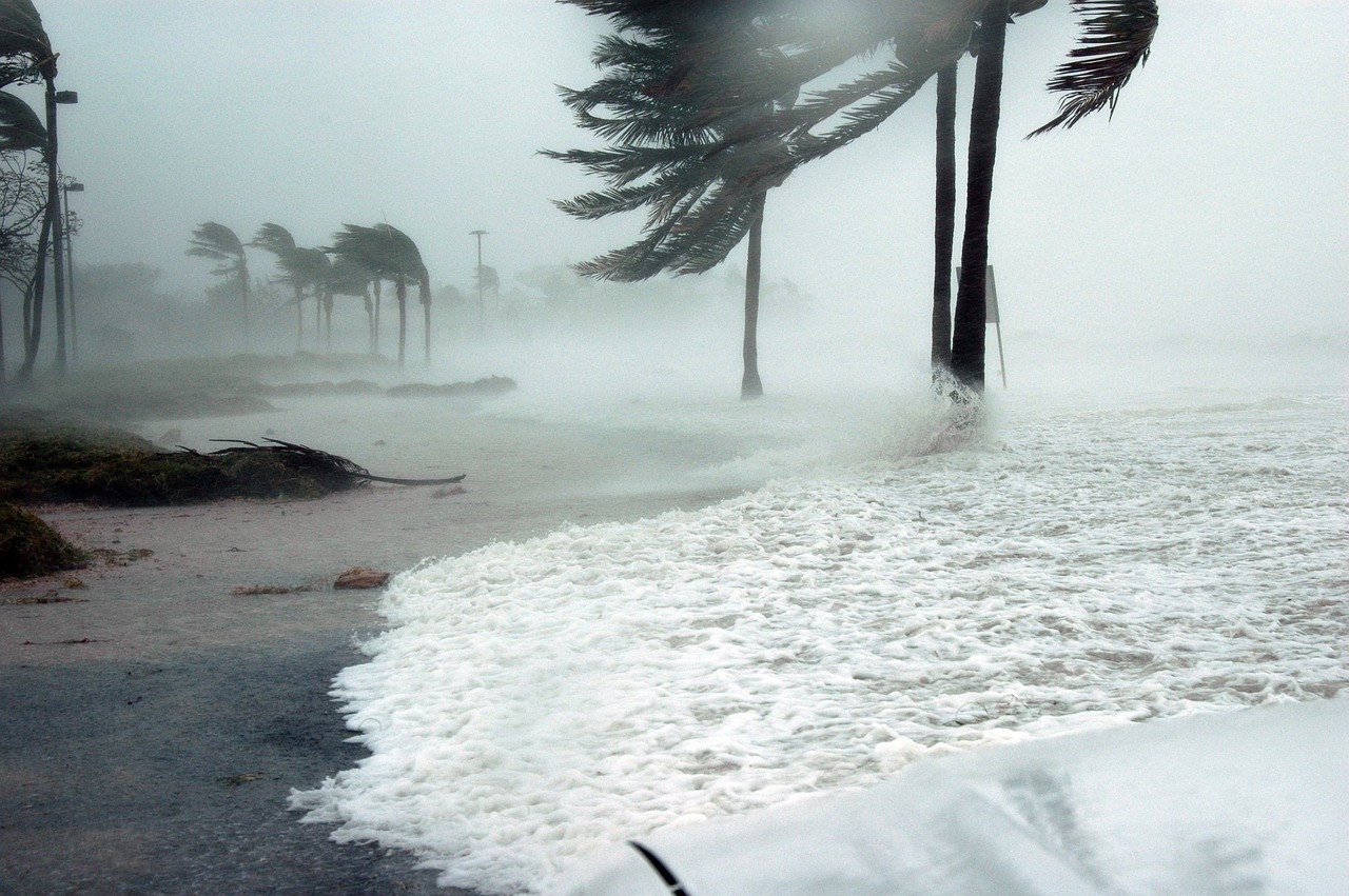 ¡Adiós calor, hola lluvias! Termina fenómeno de "El Niño" y "La Niña" llega para la temporada de huracanes