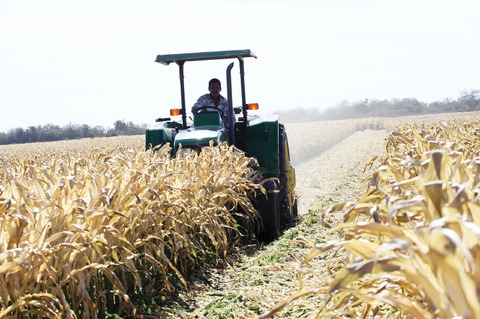 Impuestos afectan al sector agrícola  