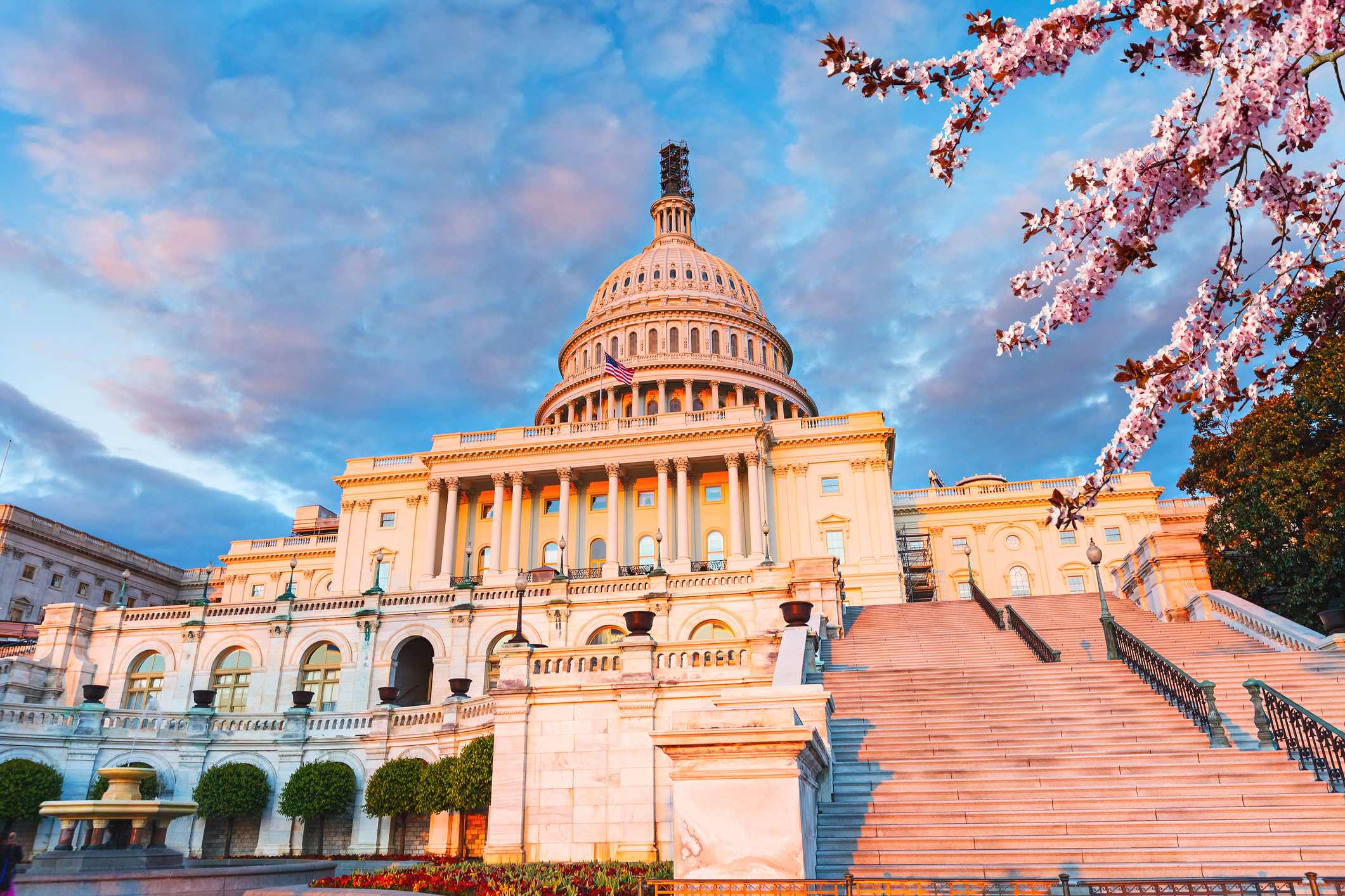 ¿Cuál es la mejor temporada para viajar a Washington D.C.? Clima, precios bajos y atracciones