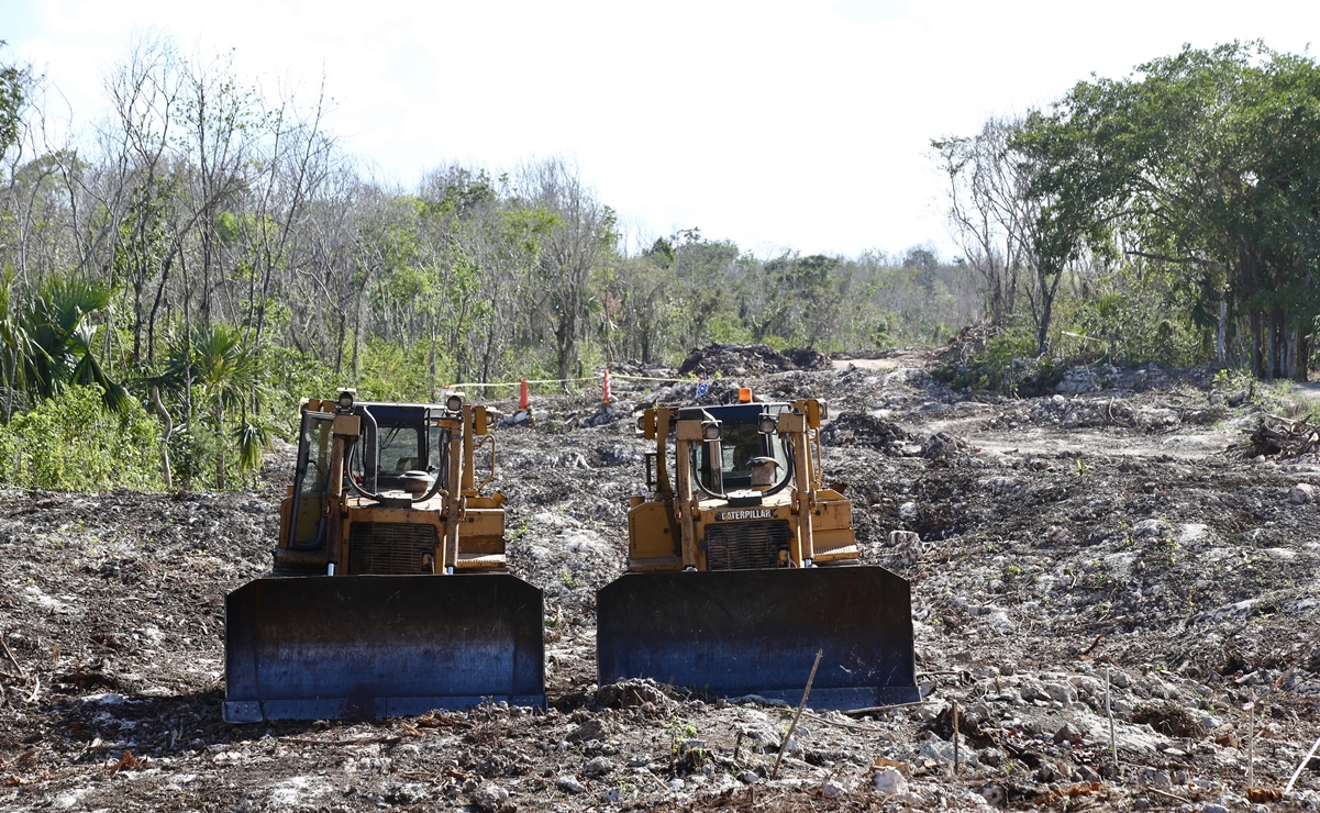 Juzgado en Yucatán frena, por ahora, obras del polémico Tramo 5 del Tren Maya 