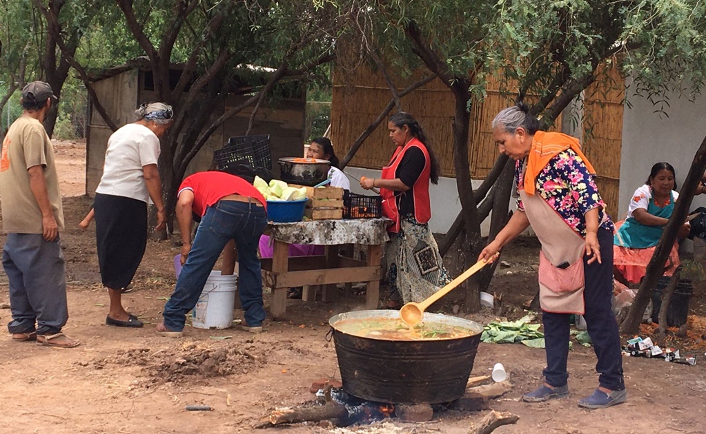 Pueblo Yaqui agasaja con “Wakabaki” a AMLO, así preparan el tradicional guisado