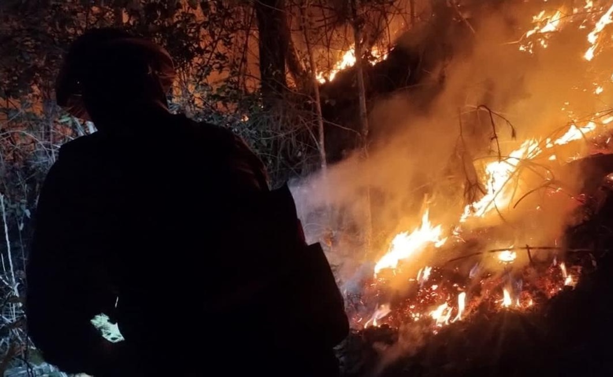 Hay 116 incendios forestales activos en el país: Conafor; 24 en áreas naturales protegidas