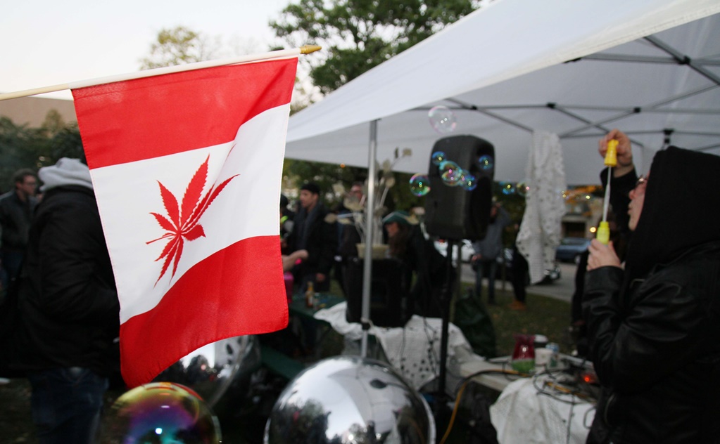 Canadá informa sobre desabasto de canabbis a un día de su legalización