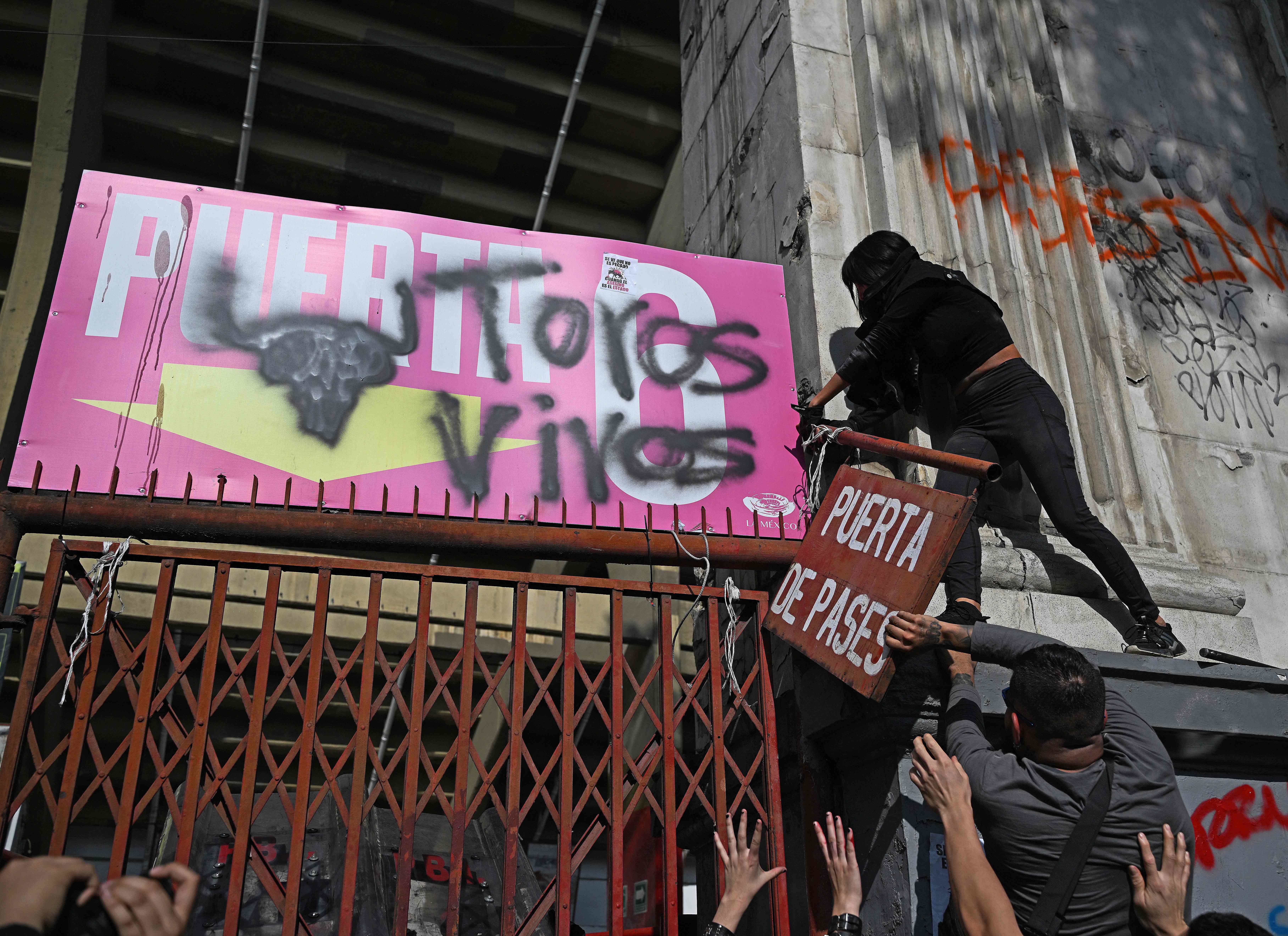 Jueza suspende corridas de toros en CDMX en medio de protestas antitaurinas