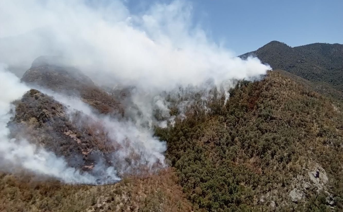 Reportan 13 incendios forestales en la Sierra Tarahumara de Chihuahua