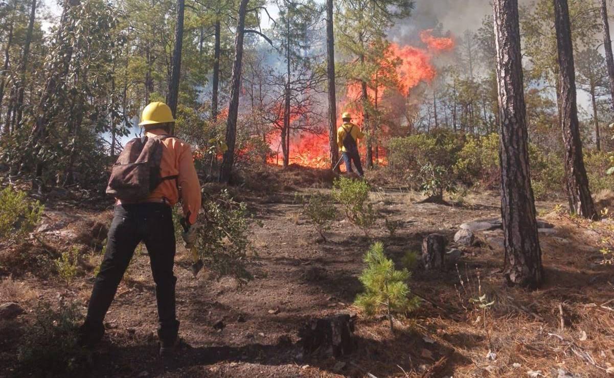La Sierra Tarahumara de Chihuahua es acechada por el fuego: hay 16 incendios forestales activos