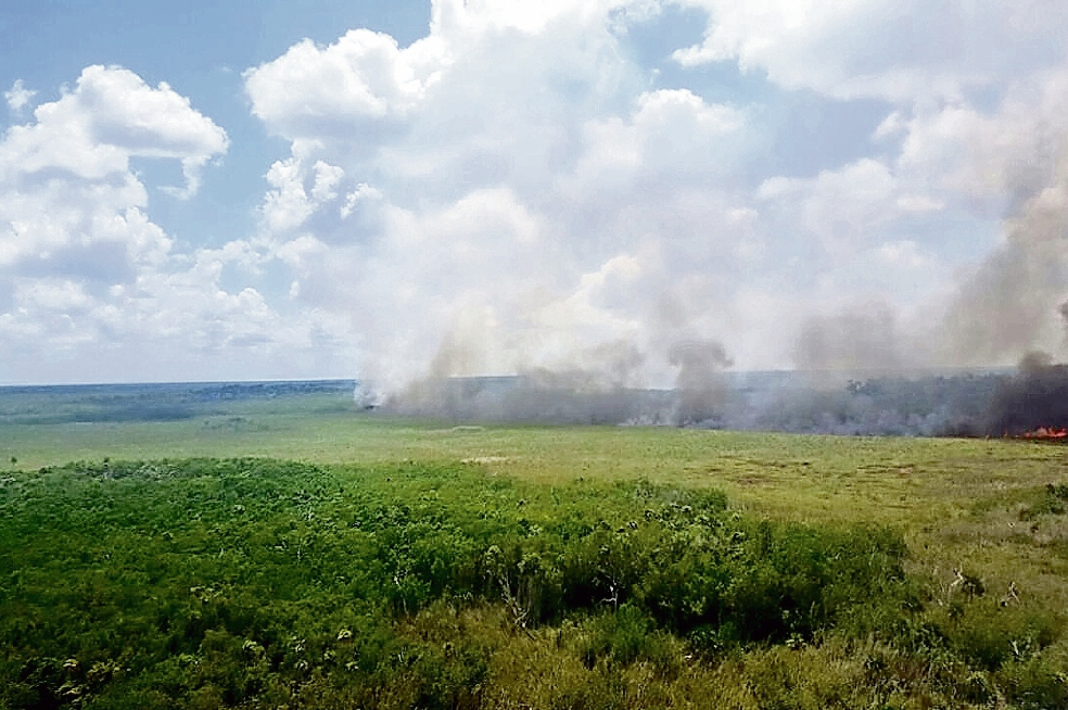 Ataca nuevo incendio a zona de reserva   