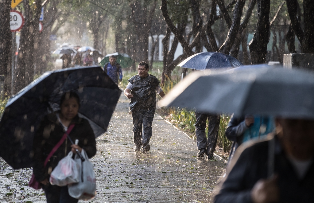 Si sales, no olvides el paraguas porque va a llover, acá te decimos a qué hora