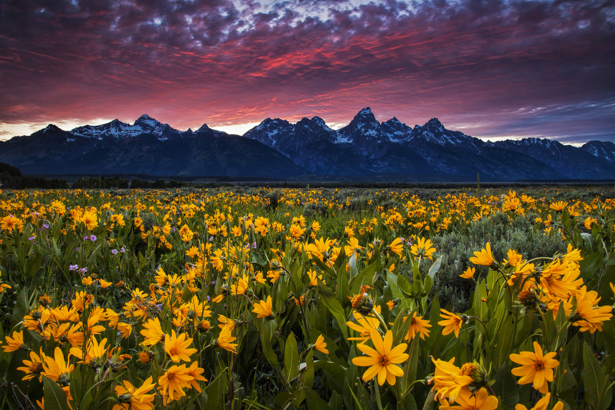 5 parques nacionales de Estados Unidos perfectos para visitar en primavera