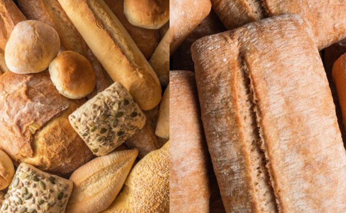 Cuánta cantidad de pan podemos comer sin engordar, según la Universidad de Harvard