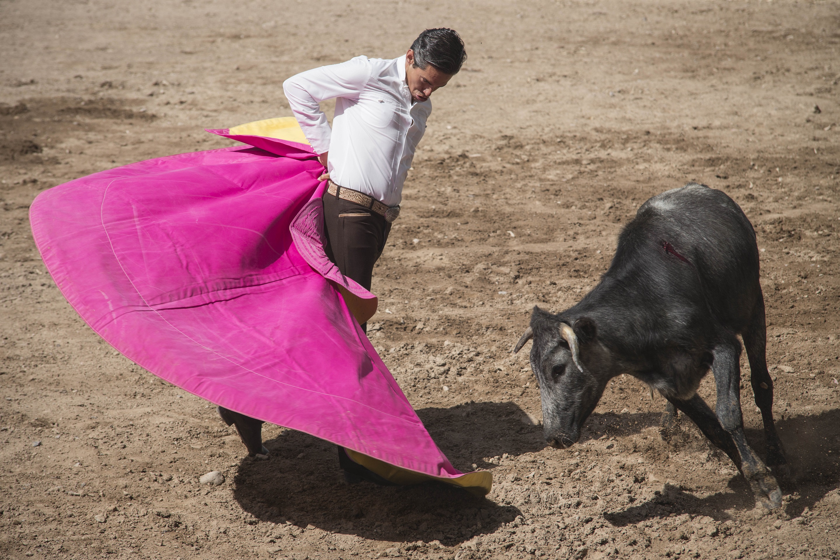 Olés por el Día del Abogado