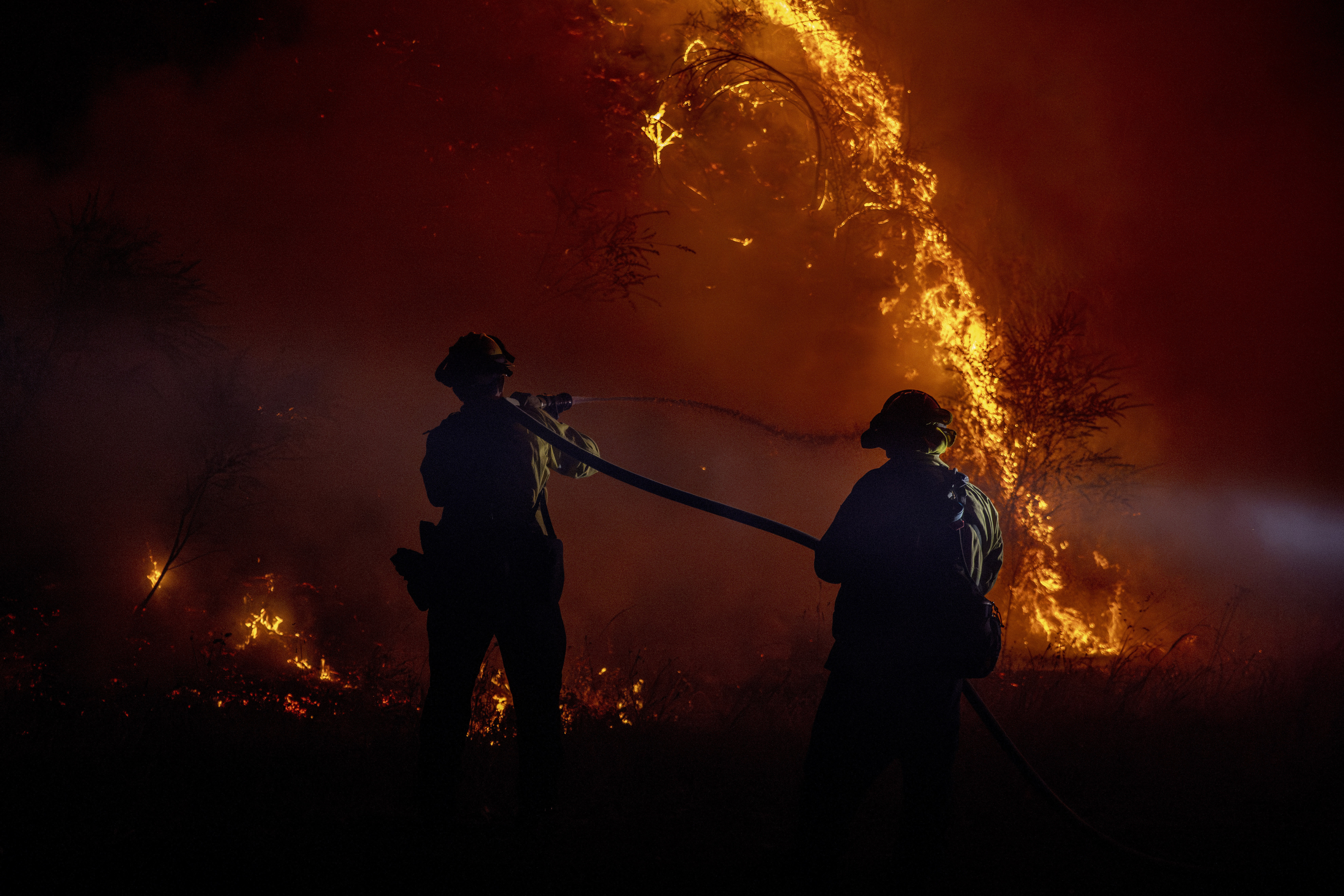 Incendios fuera de control en sur California: Fuego arrasa con más de 7  mil hectáreas en Gorman. FOTOS