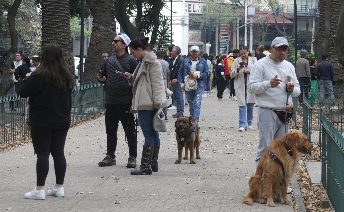 Tiembla otra vez en CDMX; Sismos de hoy de 3.2 y 2.4 con epicentro en Magdalena Contreras y Álvaro Obregón