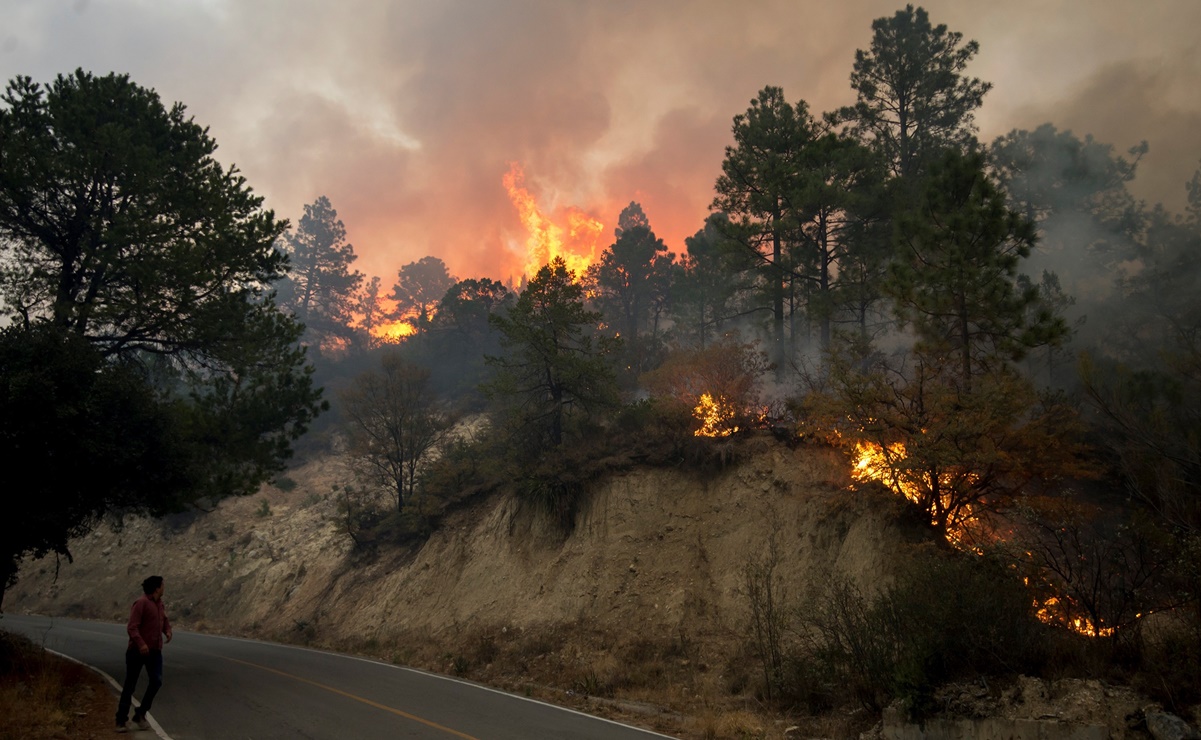 México vive una de sus peores temporadas de incendios forestales en años