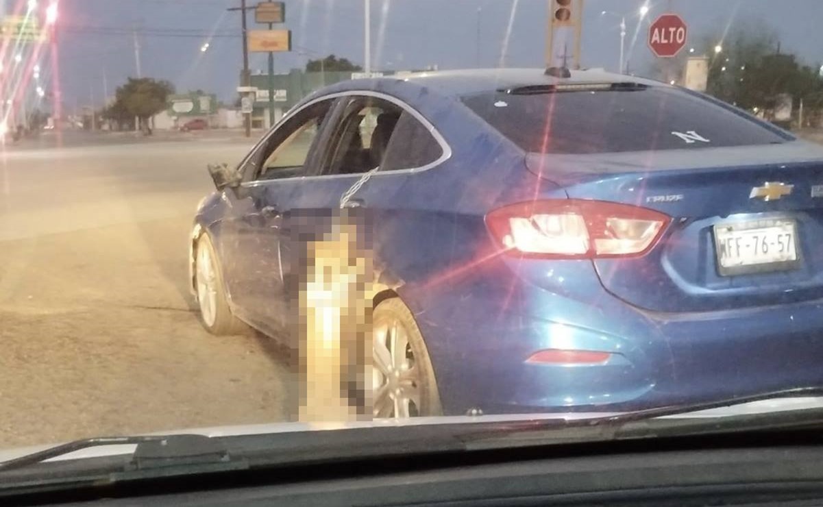 Sonora: mujer se ampara para no ser detenida por llevar encadenada a perrita y arrastrarla desde auto en movimiento