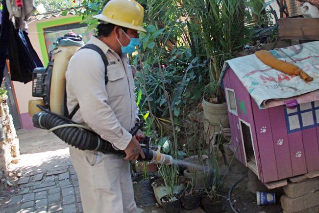 Querétaro reporta 5 casos de dengue al día 