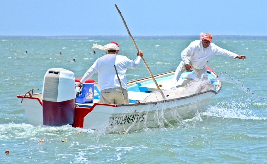 Semar se incorpora a tareas de vigilancia para combatir pesca ilegal 