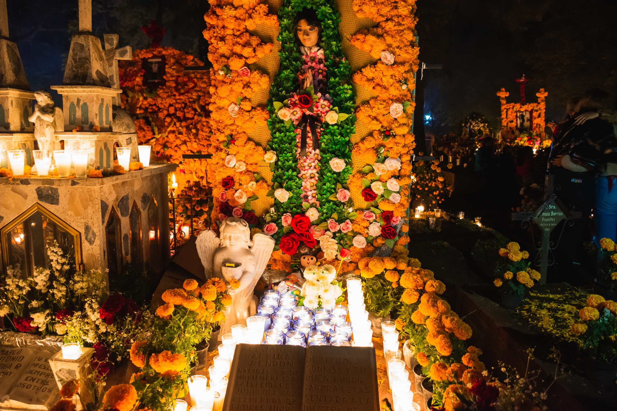 Aduanas de Estados Unidos alerta sobre estas plantas procedentes de México prohibidas en Día de Muertos