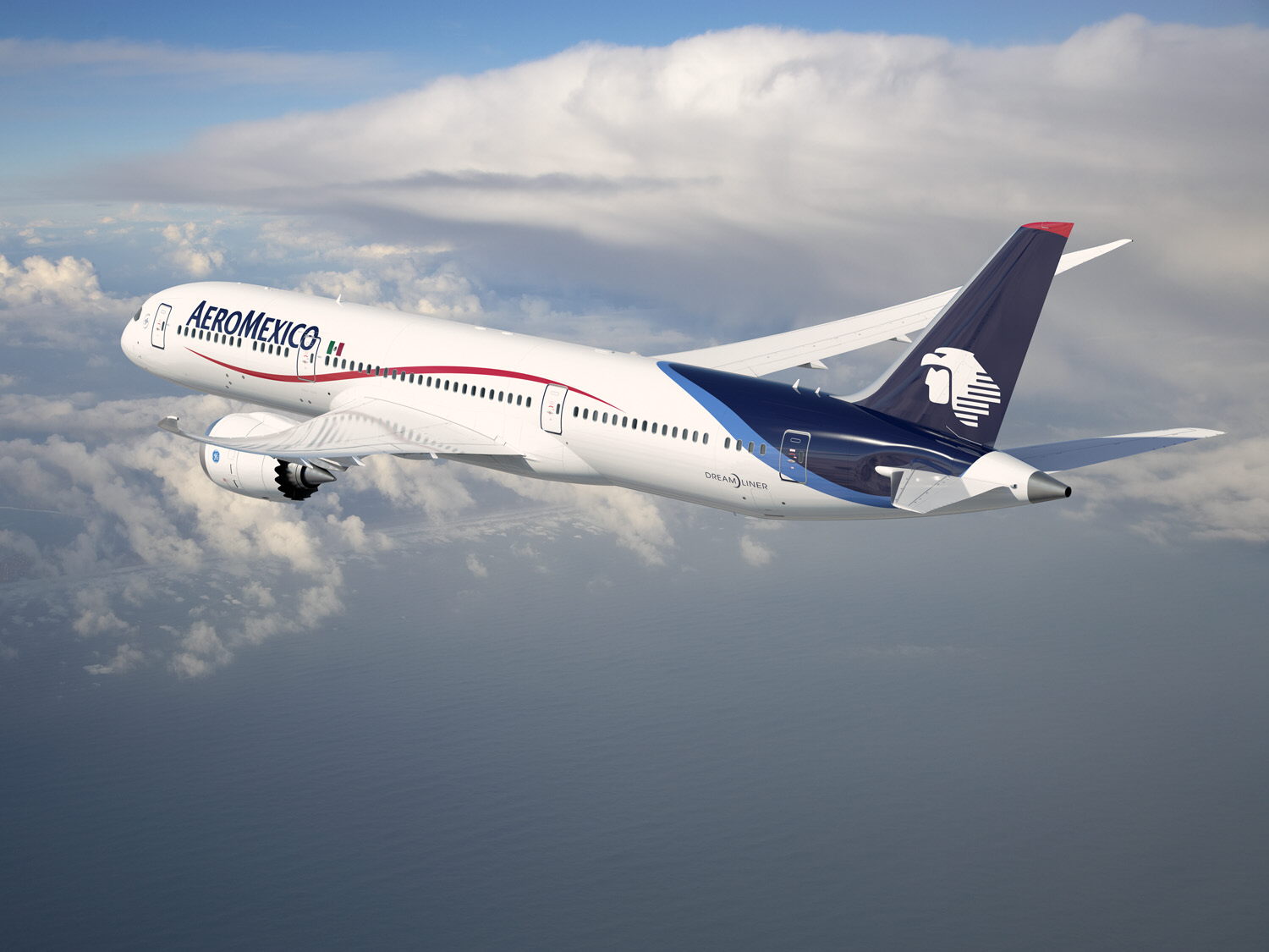 Assa pide reunión a Aeroméxico por suspensión de rutas
