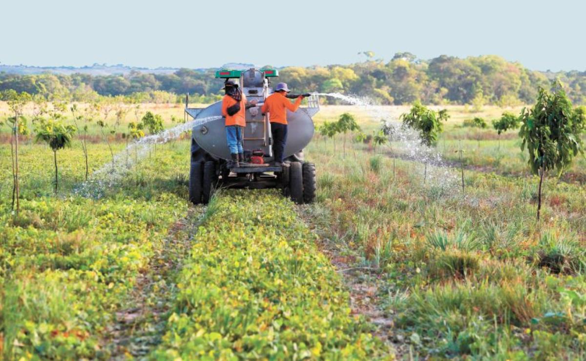 Prohibición de glifosato afectará producción agrícola, advierten especialistas