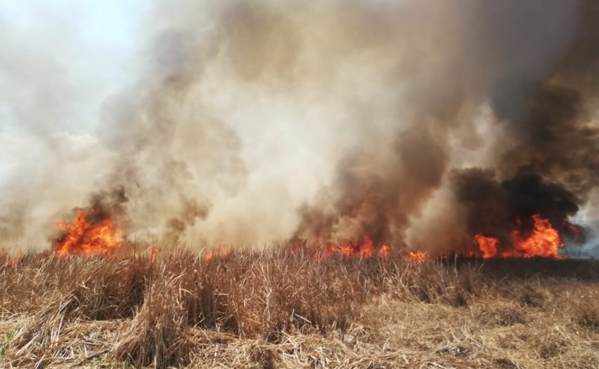 Reportan incendio de pasto seco en San Lorenzo la Cebada, Xochimilco 