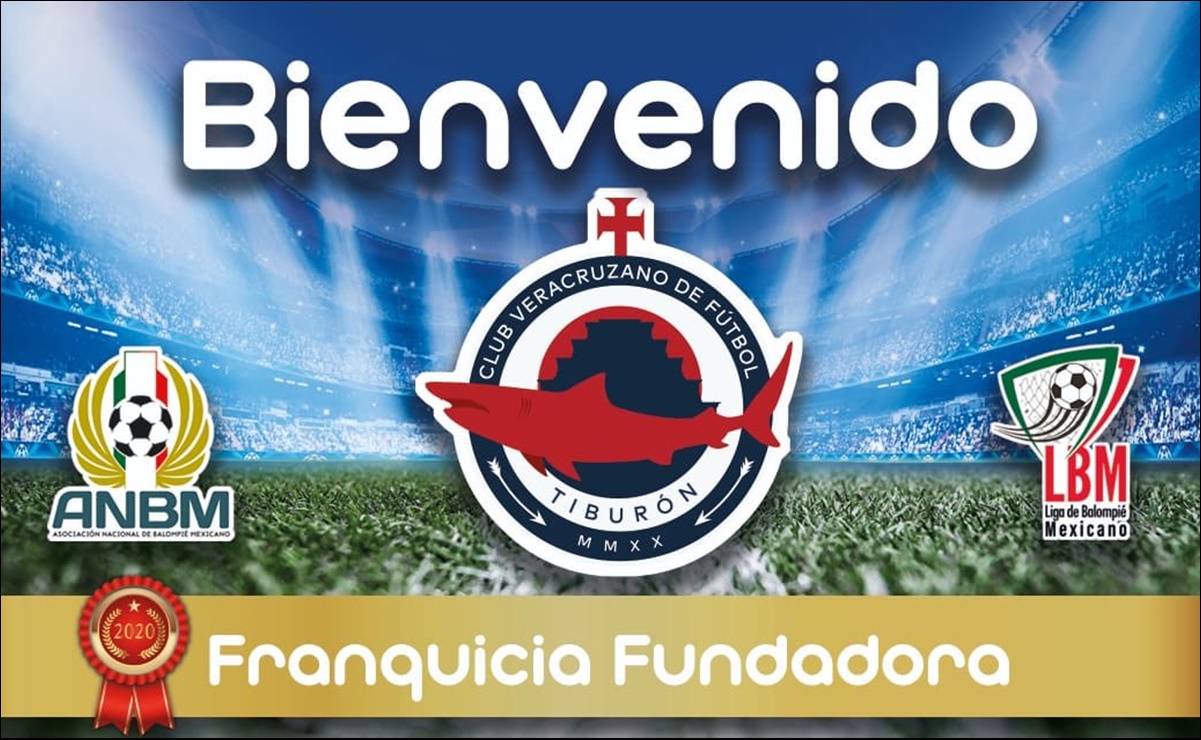 Regresa el futbol profesional a Veracruz
