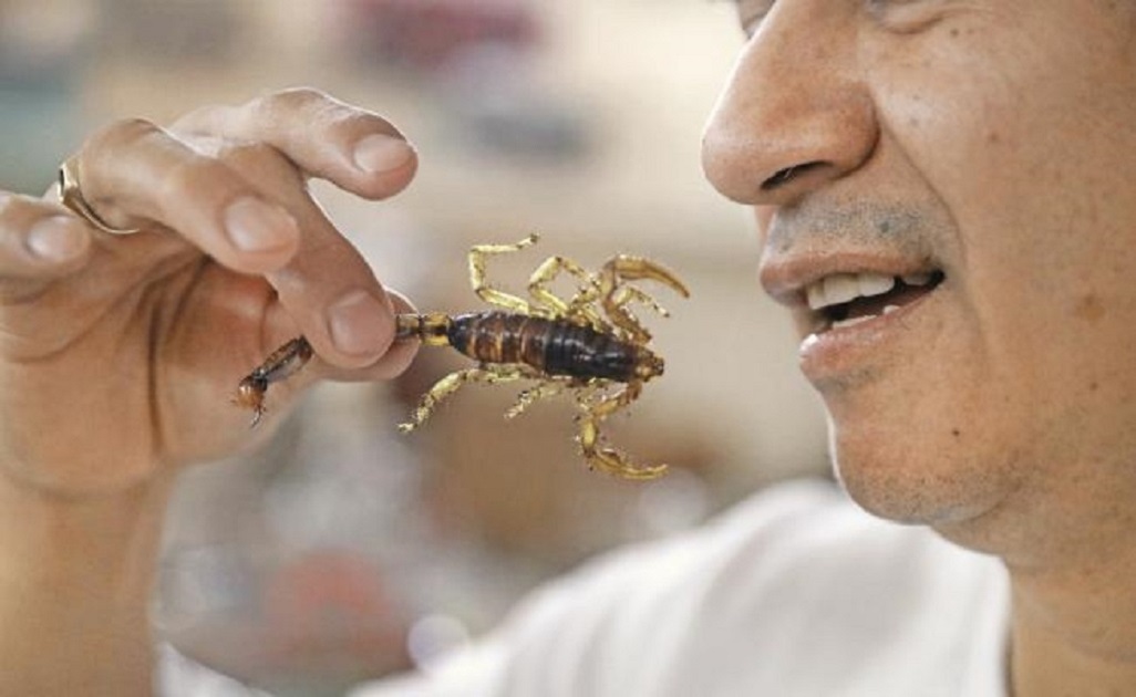 La ONU quiere que comas insectos en el futuro
