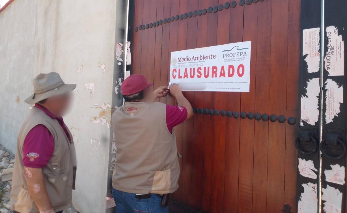 Maestros de la Sección 7 del SNTE en Chiapas marchan en calles de ...