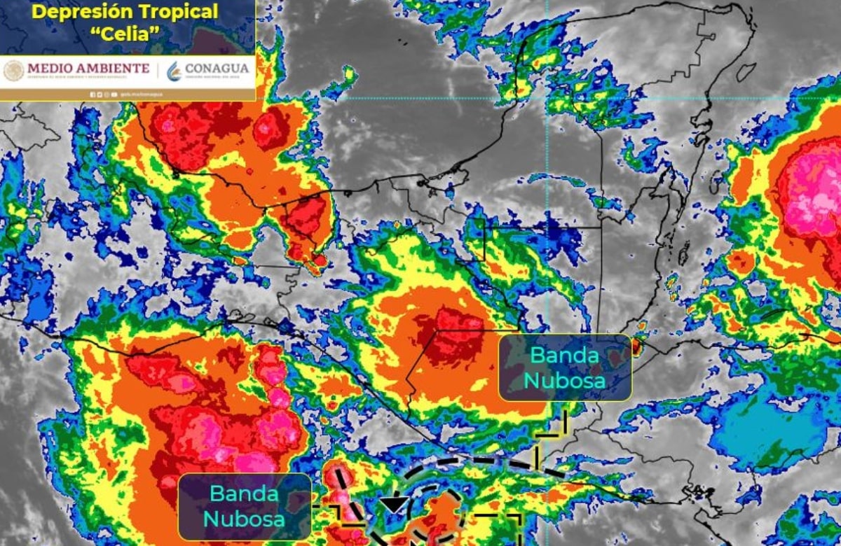 Continuará temporal de lluvias en oriente y suroeste de México por efectos de Celia y Blas 
