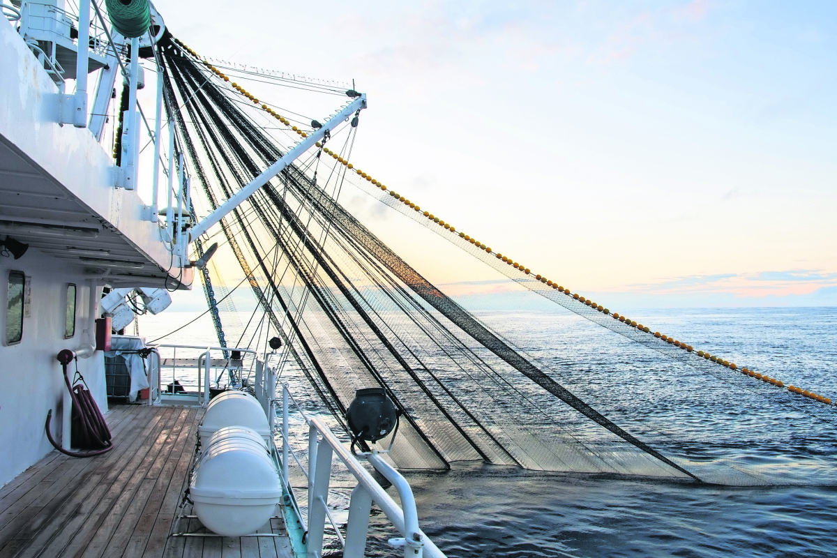 Pesca de atún, una de las más sostenibles de los mares mexicanos