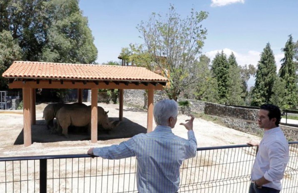 Alfredo del Mazo inaugura el Parque Ecológico Zoológico Zacango