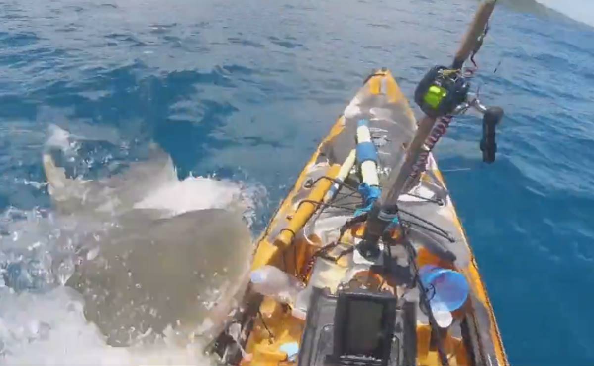 Video. El impactante ataque de tiburón a un pescador en un kayak en Hawái