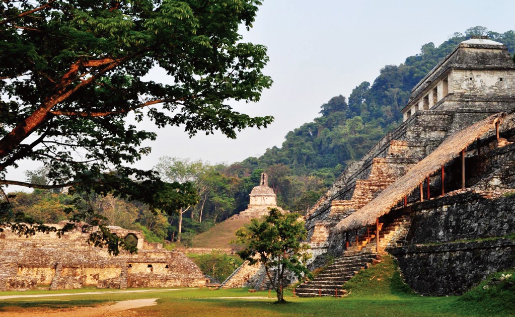 The environmental impact of the Maya civilization