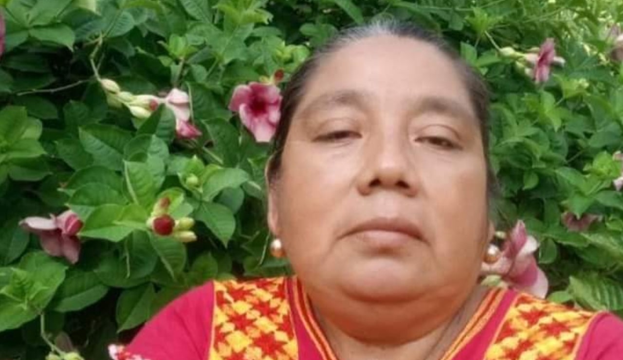 Liberan a profesora mixe de Oaxaca detenida por delito de “oposición” a ampliación de Transístmica