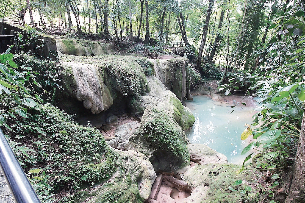 Activan empleo temporal para reforestar cascadas de Agua Azul
