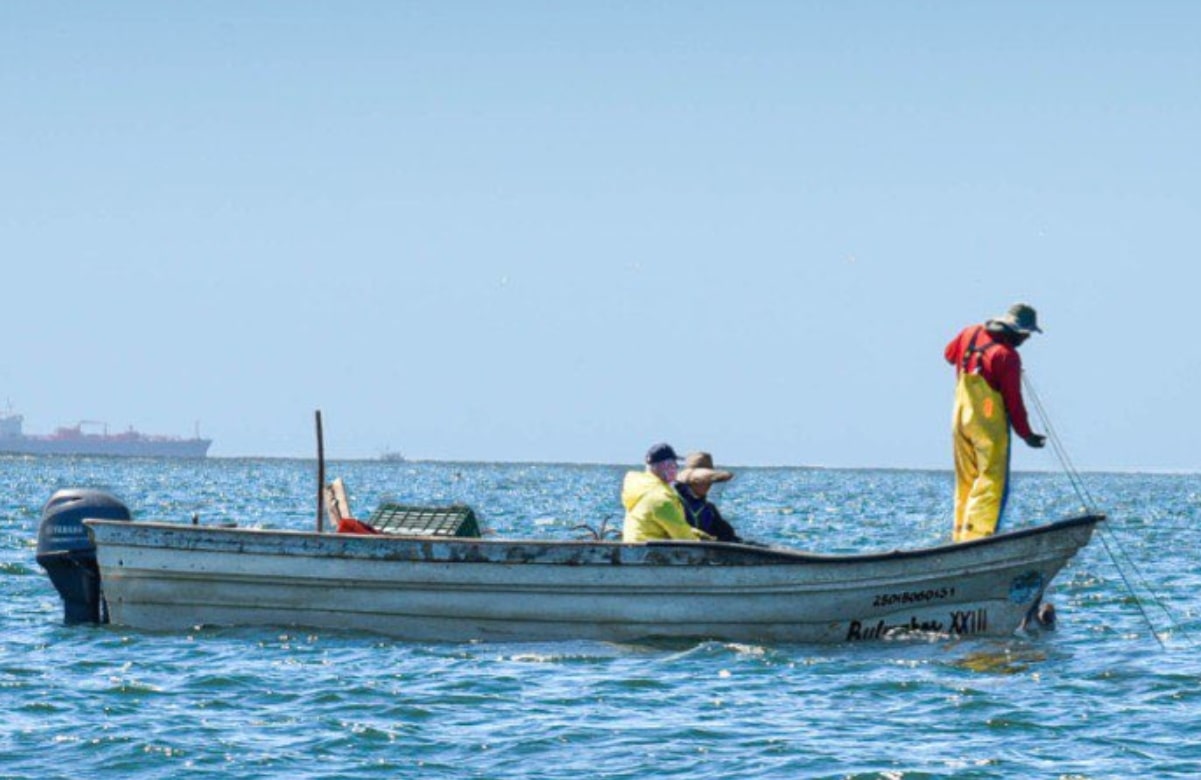 Sigue busqueda de pescador en Ahome