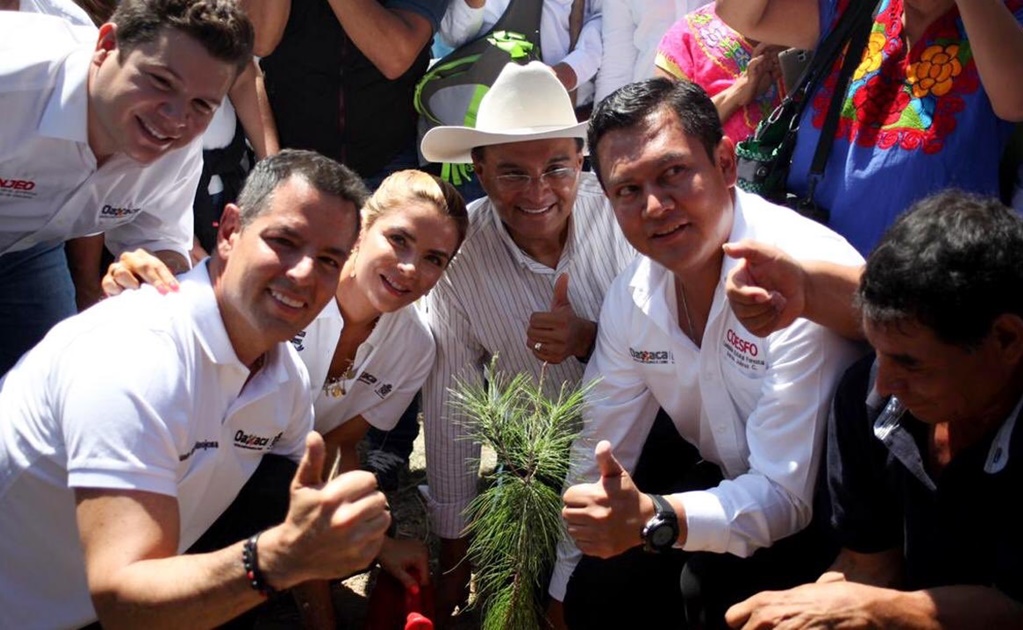 Alejandro Murat lanza reto para reforestar Oaxaca