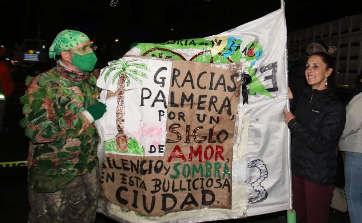 "Gracias por tanto, viste la ciudad crecer mientras morías": capitalinos dicen adiós a la palma de Reforma 