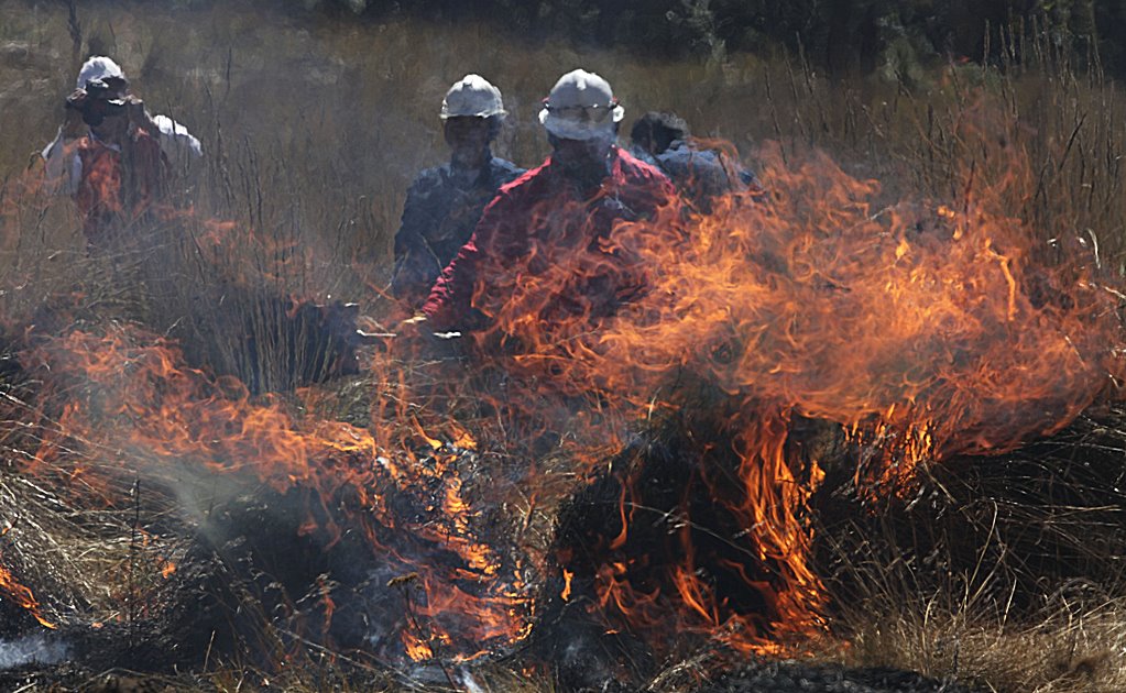 Se mantienen activos 10 incendios forestales en el Edomex