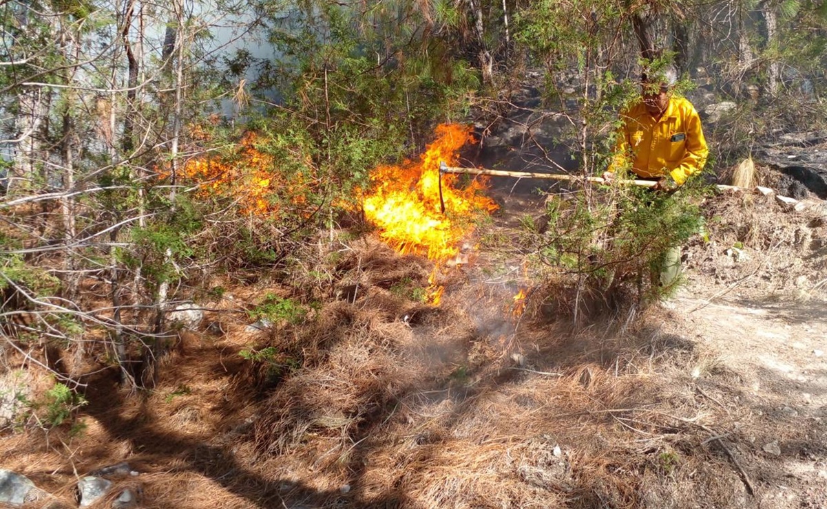 Controlan al 100% incendio forestal en Magdalena Peñasco, en la Mixteca de Oaxaca