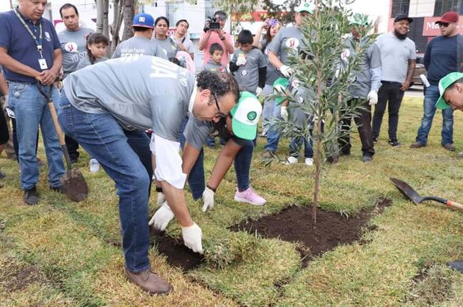Alcalde de San Luis plantará mil árboles en capital 