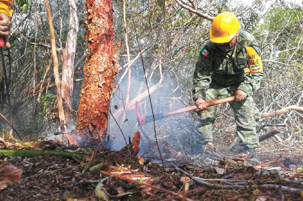 Extinguen incendio en reserva ecológica