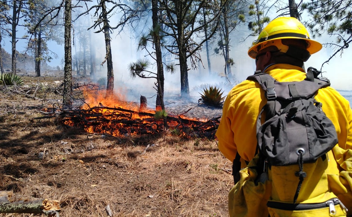 Samuel García exige sanción a quienes provocan incendios forestales