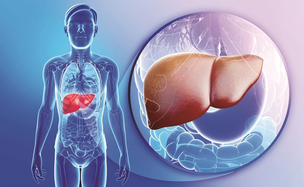 Hepatitis y cáncer de hígado, dúo letal