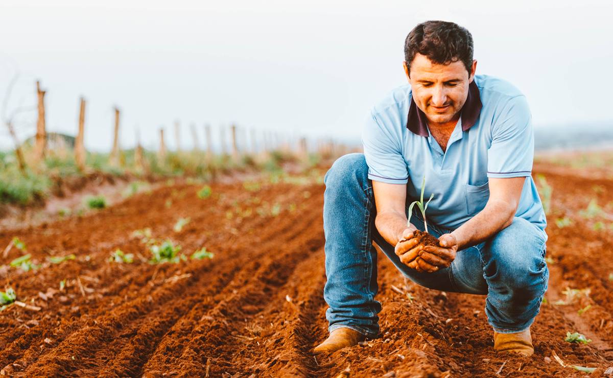 Embajada de EU lanza vacante para especialistas en agricultura; paga $1,097,000