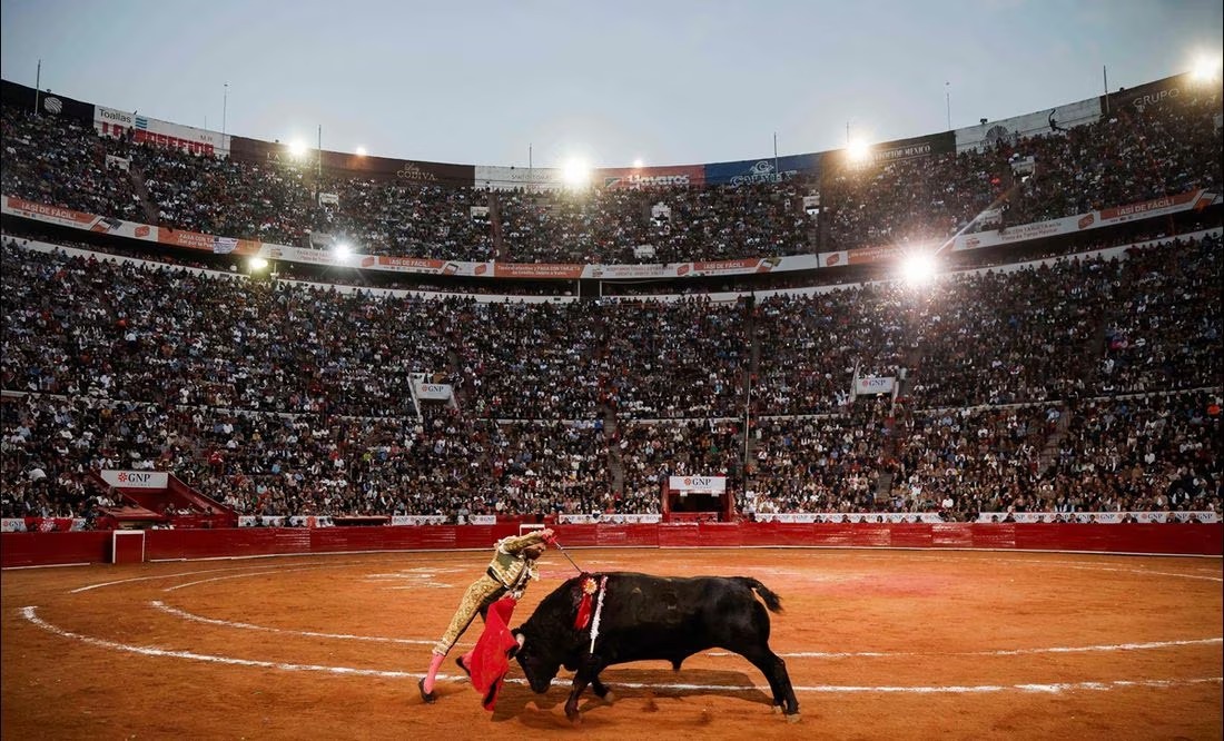 Revés a taurinos: Jueza ordena la suspensión inmediata de las corridas de toros en la Plaza México