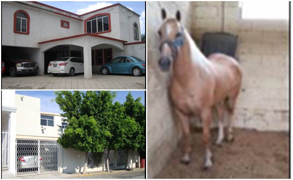 PGR asegura caballos de carreras a Zetas en Coahuila
