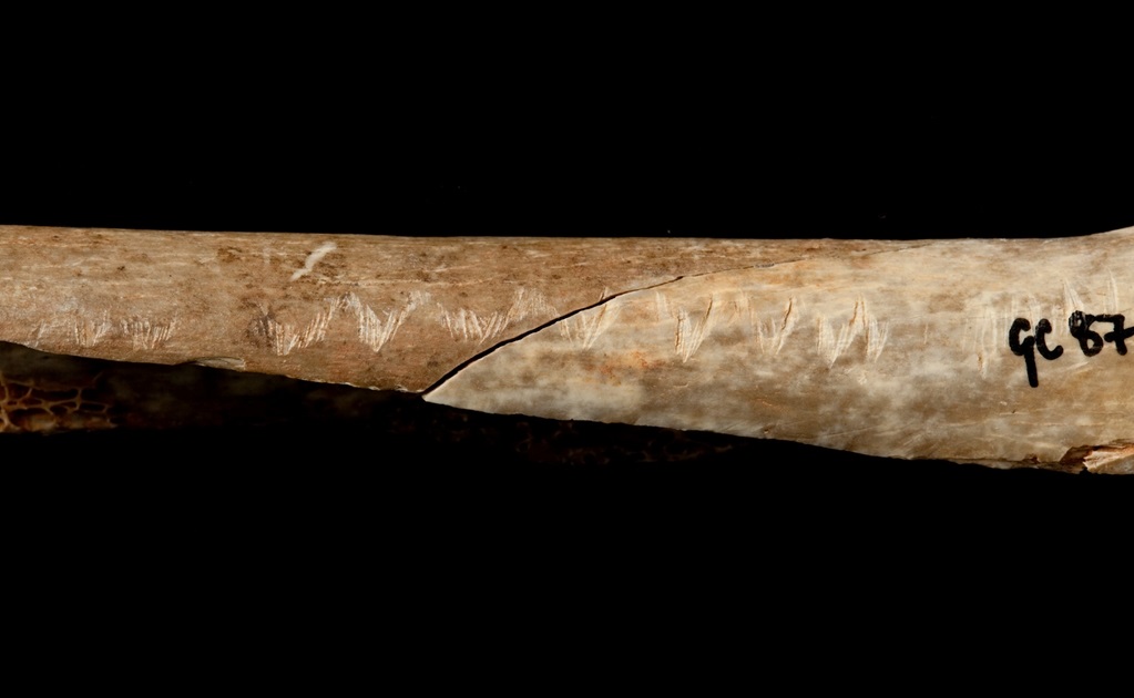 Huesos prehistóricos muestran canibalismo ritualista