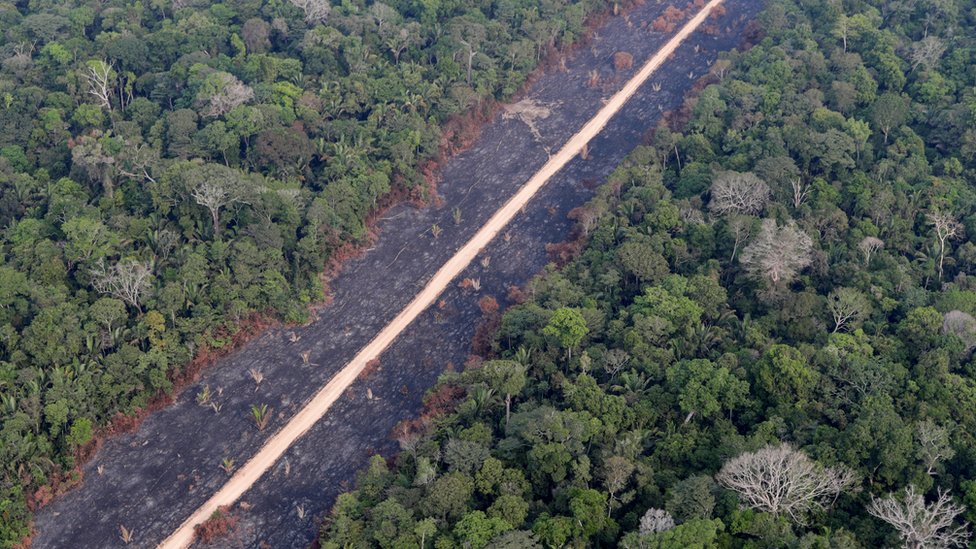 Brasil recorta su presupuesto ambiental a pesar de las promesas en cumbre sobre el clima